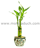 monica duch-7