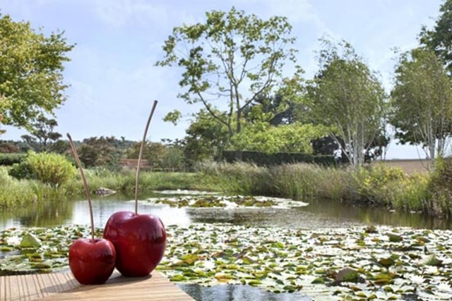 frutas_decoracion